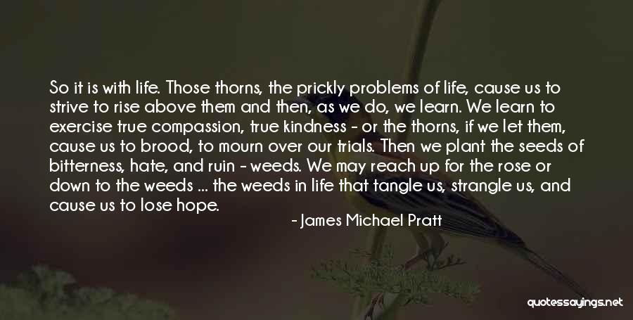 Plant Life Quotes By James Michael Pratt