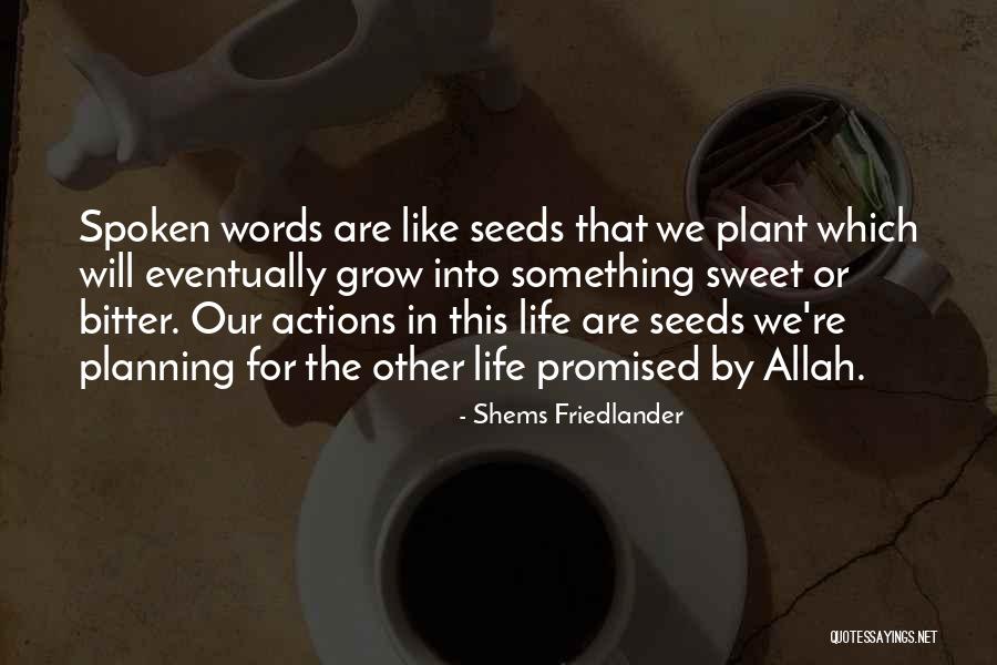 Plant Life Quotes By Shems Friedlander