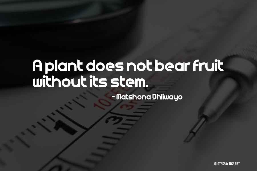 Plant Quote Quotes By Matshona Dhliwayo Plant Quote Quotes By Matshona Dhliwayo