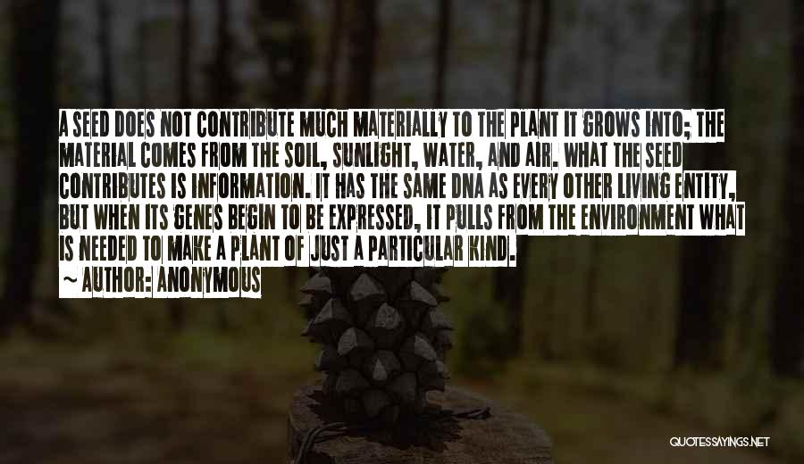 Plant Seed Quotes By Anonymous