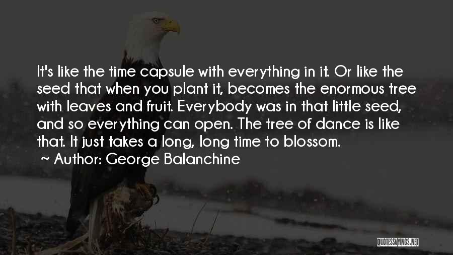 Plant Seed Quotes By George Balanchine