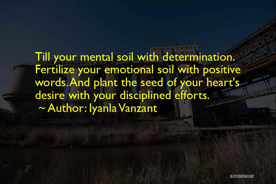 Plant Seed Quotes By Iyanla Vanzant