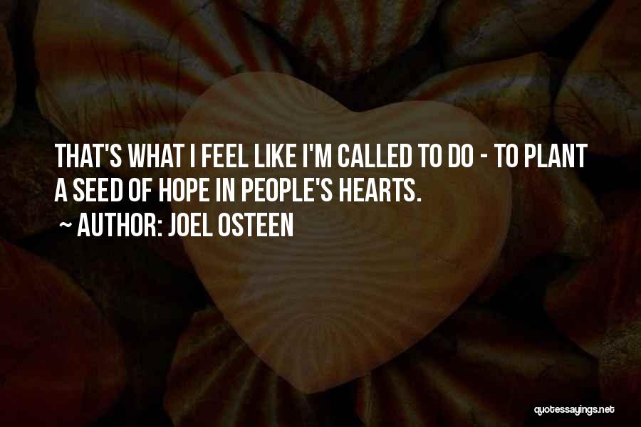 Plant Seed Quotes By Joel Osteen