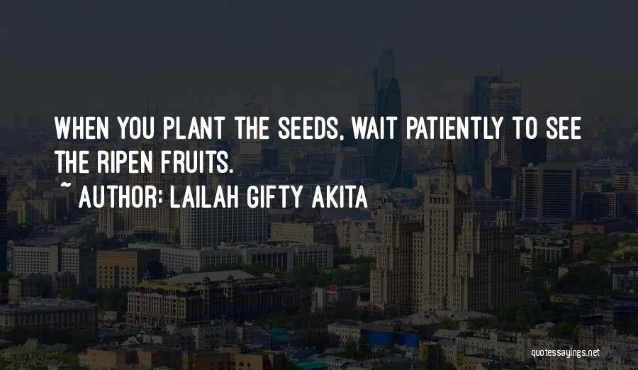 Plant Seed Quotes By Lailah Gifty Akita
