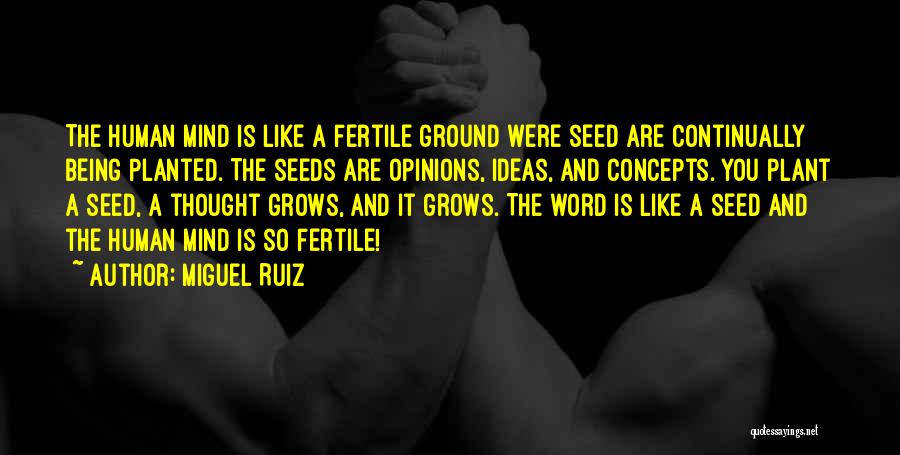 Plant Seed Quotes By Miguel Ruiz