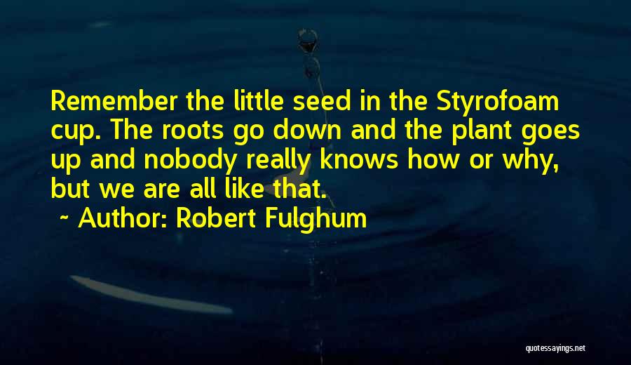 Plant Seed Quotes By Robert Fulghum