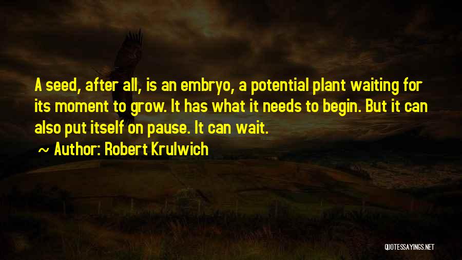 Plant Seed Quotes By Robert Krulwich