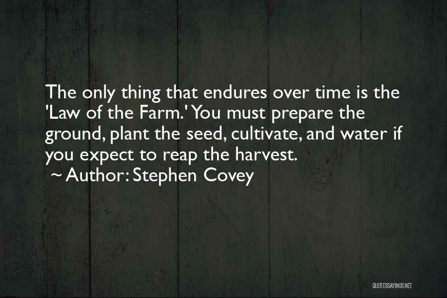 Plant Seed Quotes By Stephen Covey