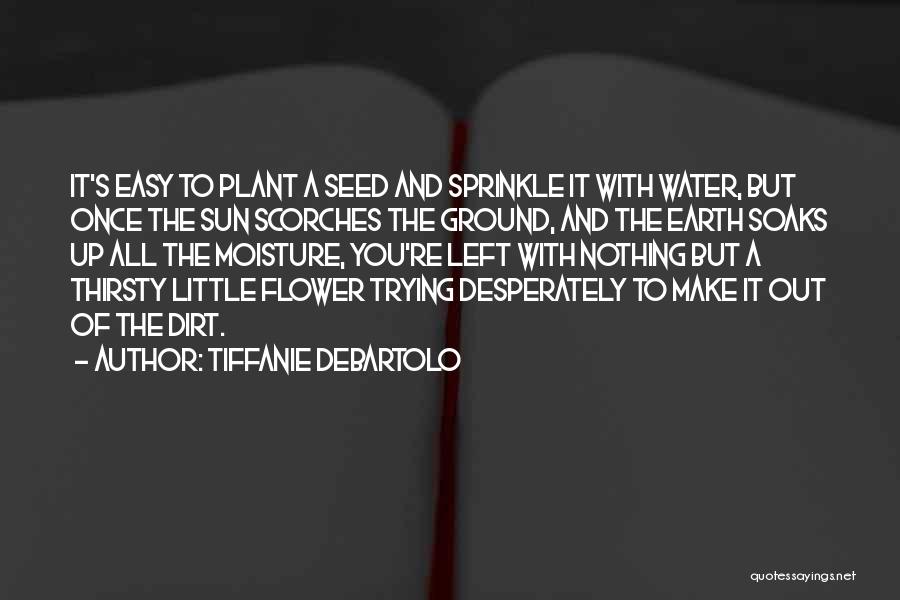 Plant Seed Quotes By Tiffanie DeBartolo