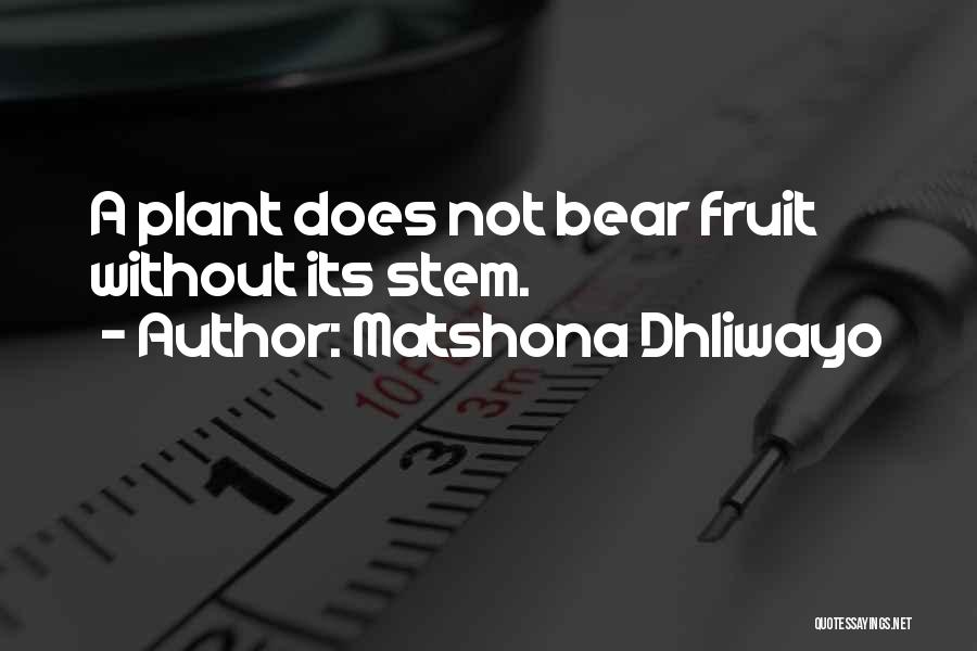 Plant Stem Quotes By Matshona Dhliwayo