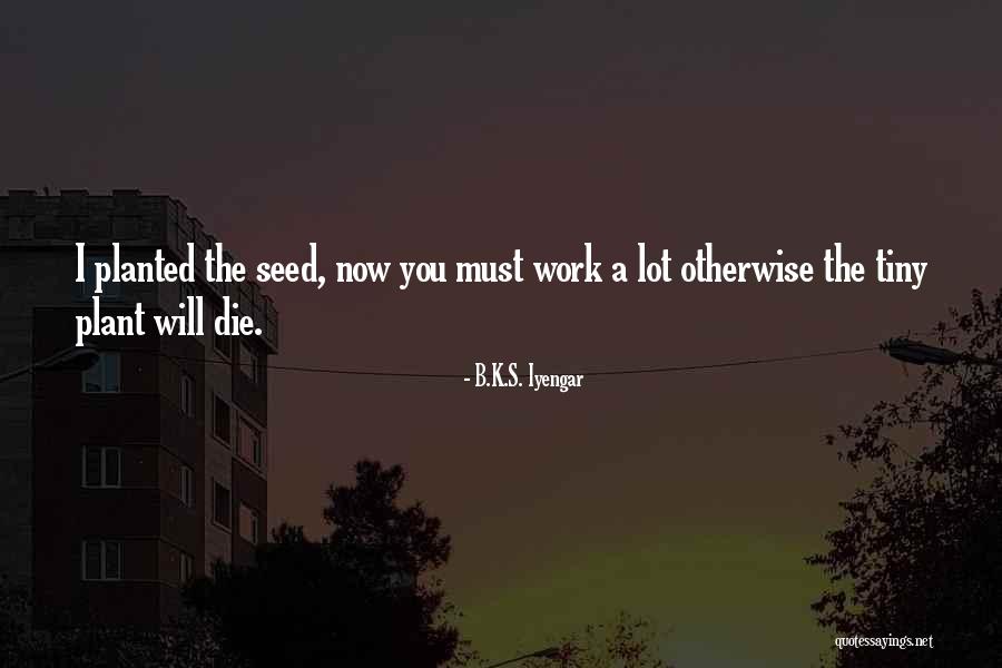Plant The Seeds Quotes By B.K.S. Iyengar Plant The Seeds Quotes By B.K.S. Iyengar