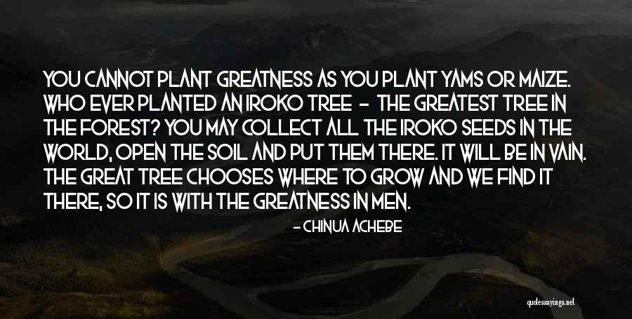 Plant The Seeds Quotes By Chinua Achebe Plant The Seeds Quotes By Chinua Achebe