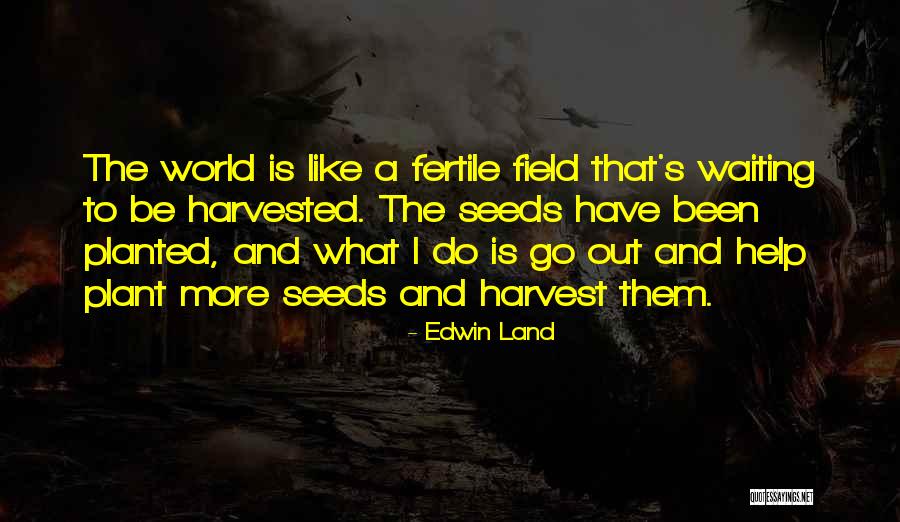 Plant The Seeds Quotes By Edwin Land Plant The Seeds Quotes By Edwin Land