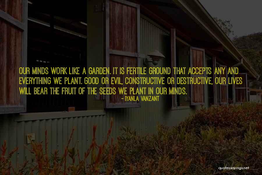 Plant The Seeds Quotes By Iyanla Vanzant Plant The Seeds Quotes By Iyanla Vanzant