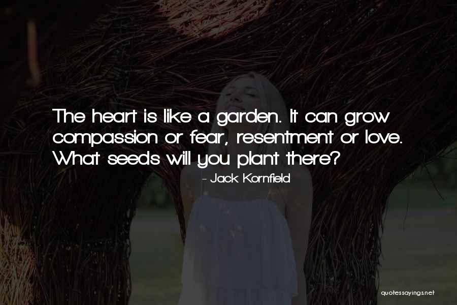 Plant The Seeds Quotes By Jack Kornfield Plant The Seeds Quotes By Jack Kornfield