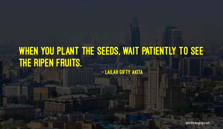 Plant The Seeds Quotes By Lailah Gifty Akita Plant The Seeds Quotes By Lailah Gifty Akita