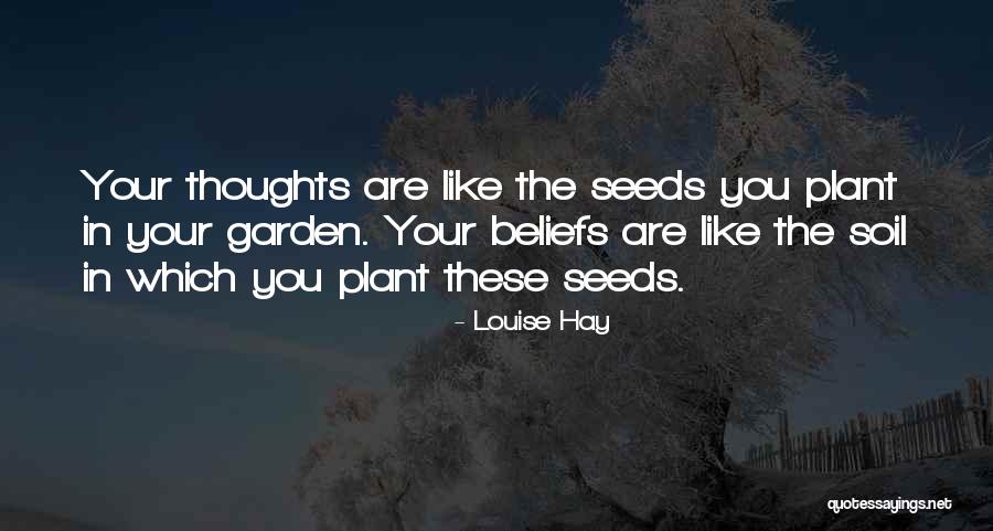 Plant The Seeds Quotes By Louise Hay Plant The Seeds Quotes By Louise Hay