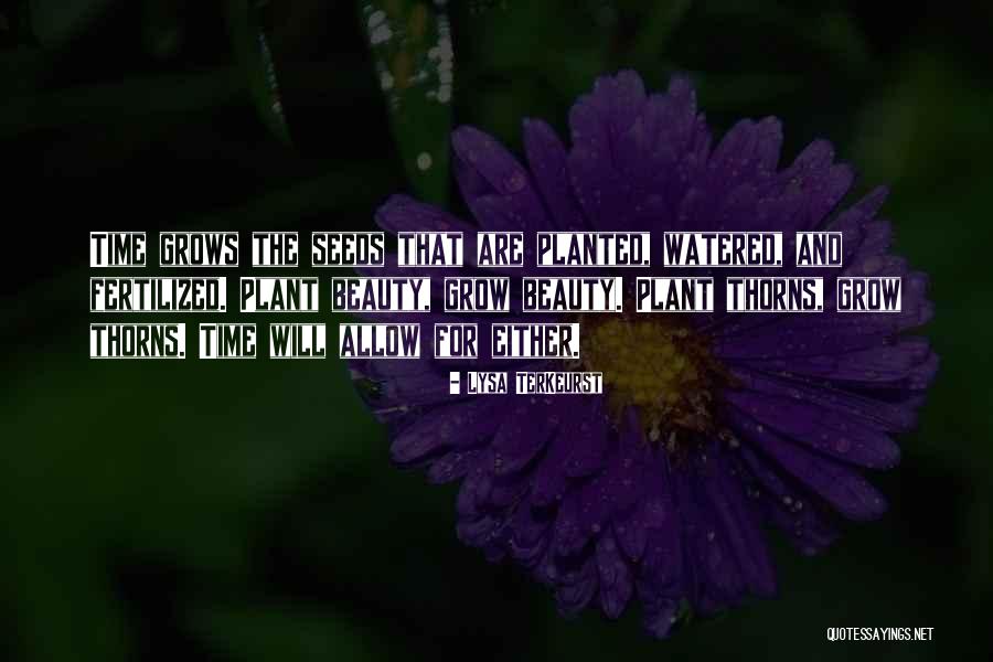 Plant The Seeds Quotes By Lysa TerKeurst Plant The Seeds Quotes By Lysa TerKeurst