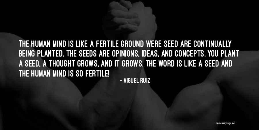 Plant The Seeds Quotes By Miguel Ruiz Plant The Seeds Quotes By Miguel Ruiz