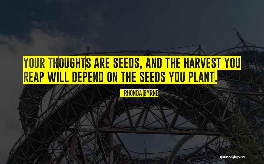 Plant The Seeds Quotes By Rhonda Byrne Plant The Seeds Quotes By Rhonda Byrne
