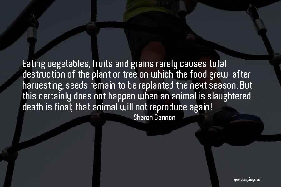 Plant The Seeds Quotes By Sharon Gannon Plant The Seeds Quotes By Sharon Gannon
