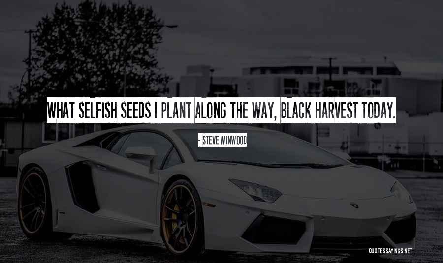 Plant The Seeds Quotes By Steve Winwood Plant The Seeds Quotes By Steve Winwood