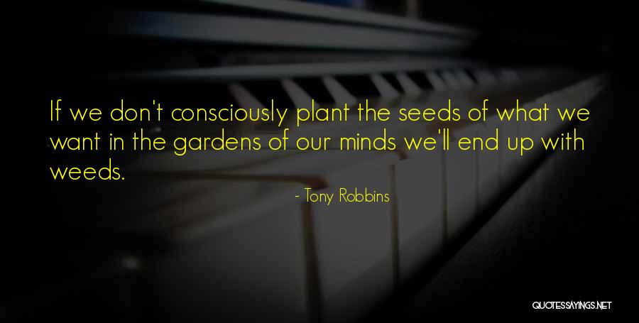 Plant The Seeds Quotes By Tony Robbins Plant The Seeds Quotes By Tony Robbins