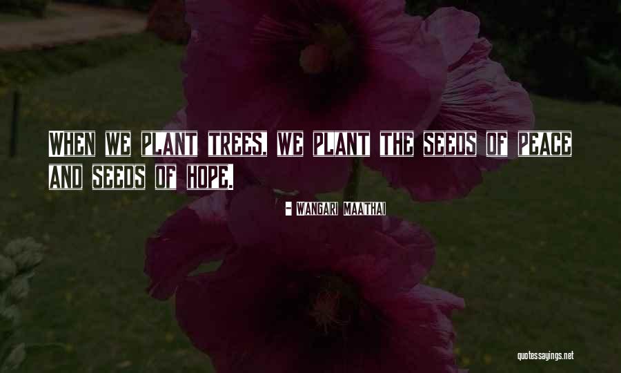 Plant The Seeds Quotes By Wangari Maathai Plant The Seeds Quotes By Wangari Maathai