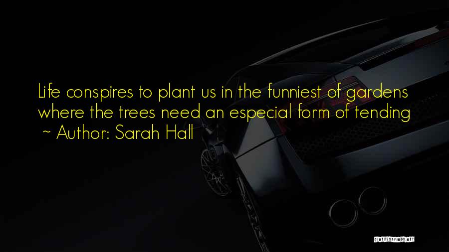 Plant Trees Plant Life Quotes By Sarah Hall