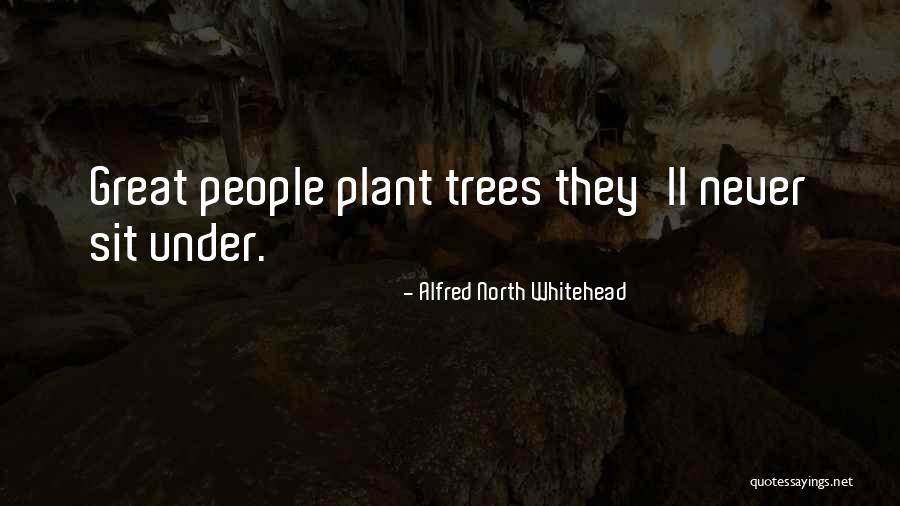 Plant Trees Quotes By Alfred North Whitehead Plant Trees Quotes By Alfred North Whitehead
