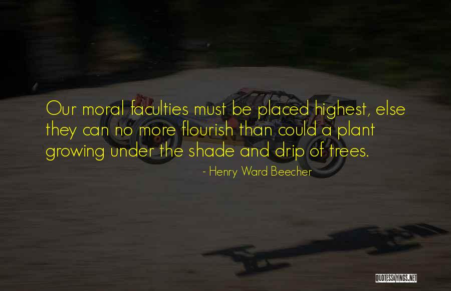 Plant Trees Quotes By Henry Ward Beecher Plant Trees Quotes By Henry Ward Beecher