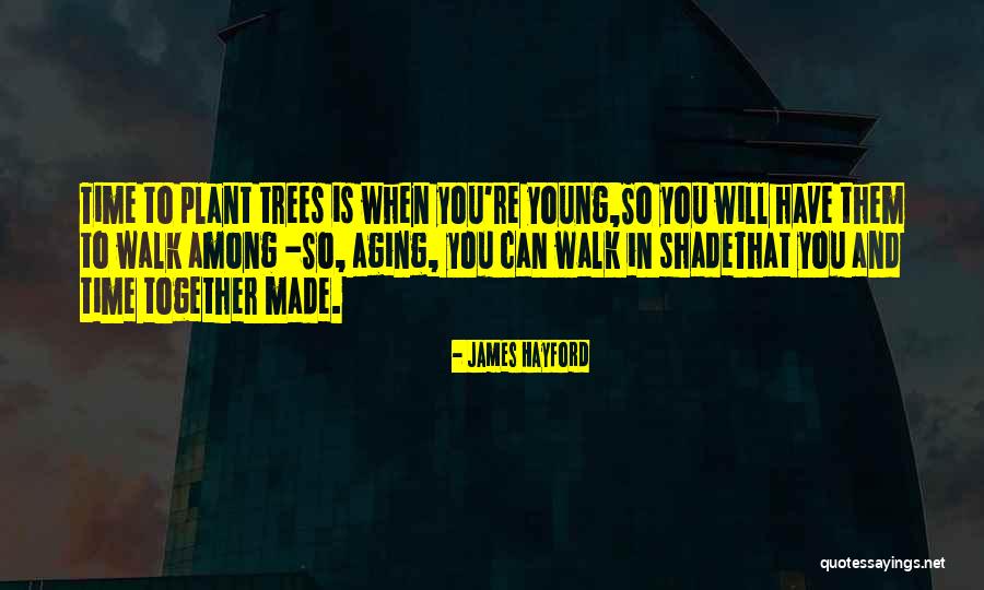 Plant Trees Quotes By James Hayford Plant Trees Quotes By James Hayford