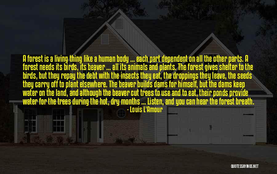 Plant Trees Quotes By Louis L'Amour Plant Trees Quotes By Louis L'Amour