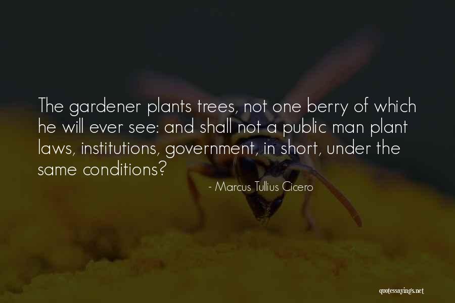 Plant Trees Quotes By Marcus Tullius Cicero Plant Trees Quotes By Marcus Tullius Cicero