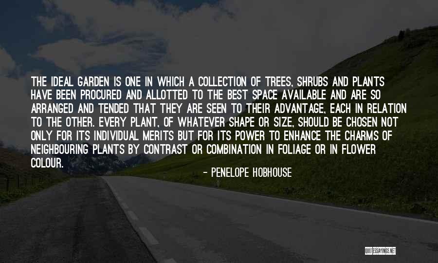 Plant Trees Quotes By Penelope Hobhouse Plant Trees Quotes By Penelope Hobhouse