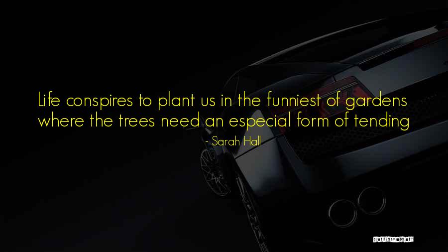 Plant Trees Quotes By Sarah Hall Plant Trees Quotes By Sarah Hall