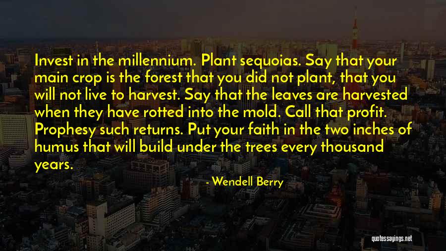 Plant Trees Quotes By Wendell Berry Plant Trees Quotes By Wendell Berry