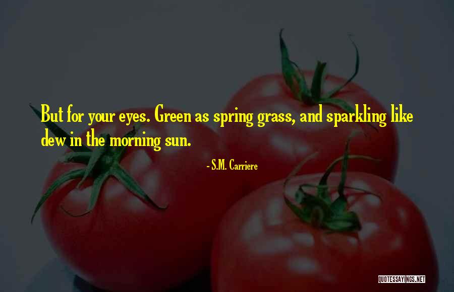 Plantaire Grele Quotes By S.M. Carriere Plantaire Grele Quotes By S.M. Carriere