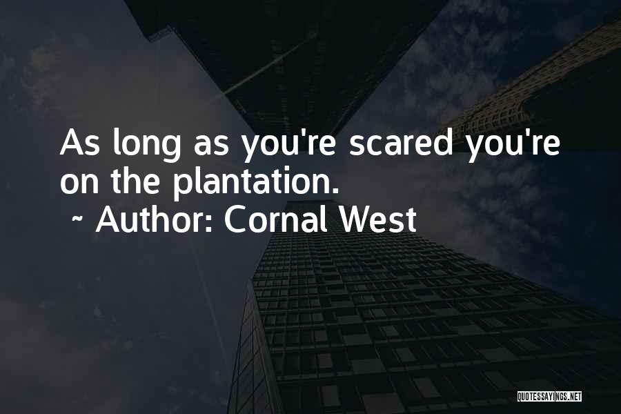 Plantation Quotes By Cornal West
