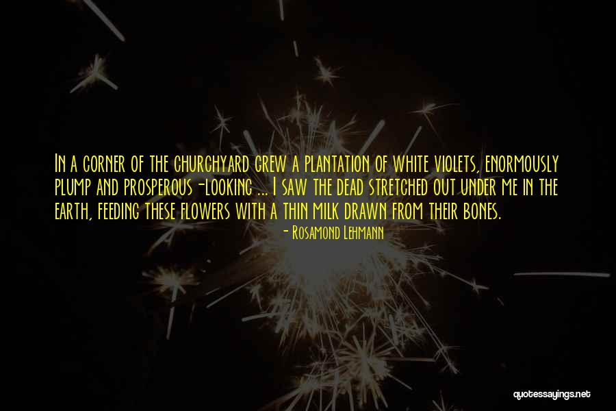 Plantation Quotes By Rosamond Lehmann Plantation Quotes By Rosamond Lehmann
