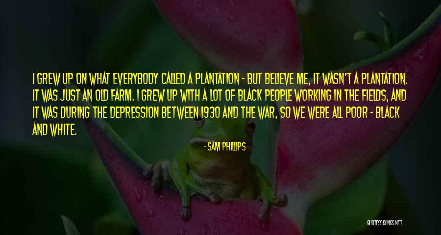 Plantation Quotes By Sam Phillips Plantation Quotes By Sam Phillips
