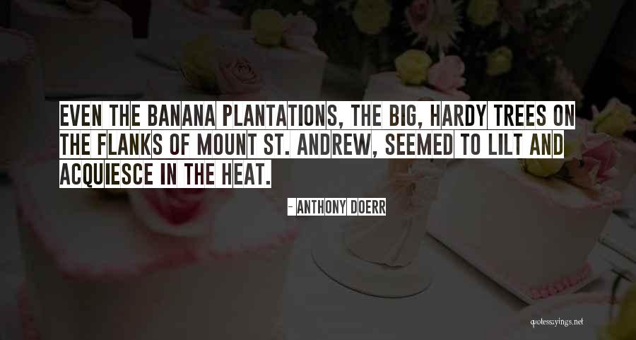 Plantations Quotes By Anthony Doerr