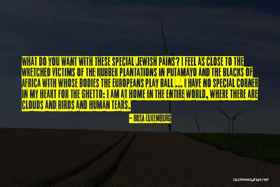Plantations Quotes By Rosa Luxemburg