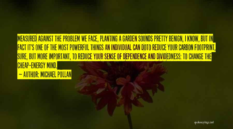 Planting Garden Quotes By Michael Pollan