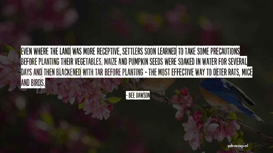 Planting The Seeds Quotes By Bee Dawson Planting The Seeds Quotes By Bee Dawson