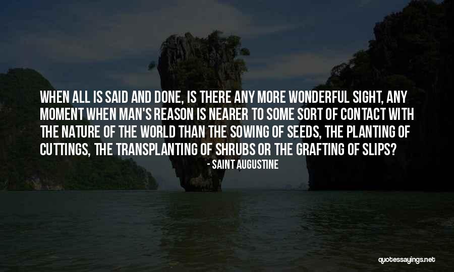 Planting The Seeds Quotes By Saint Augustine Planting The Seeds Quotes By Saint Augustine
