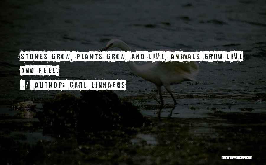 Plants And Animals Quotes By Carl Linnaeus