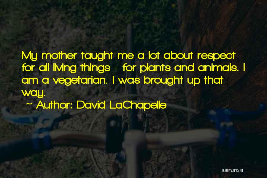 Plants And Animals Quotes By David LaChapelle