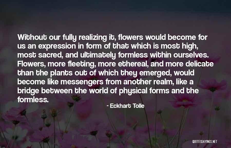 Plants And Flowers Quotes By Eckhart Tolle