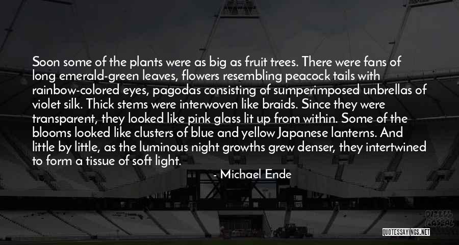 Plants And Flowers Quotes By Michael Ende